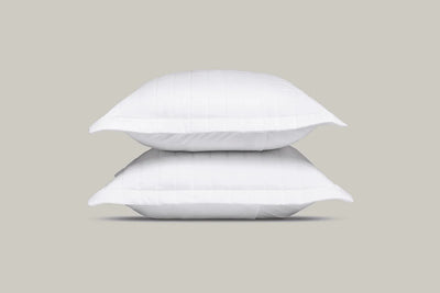 Euro Pillow Sham (set of two)