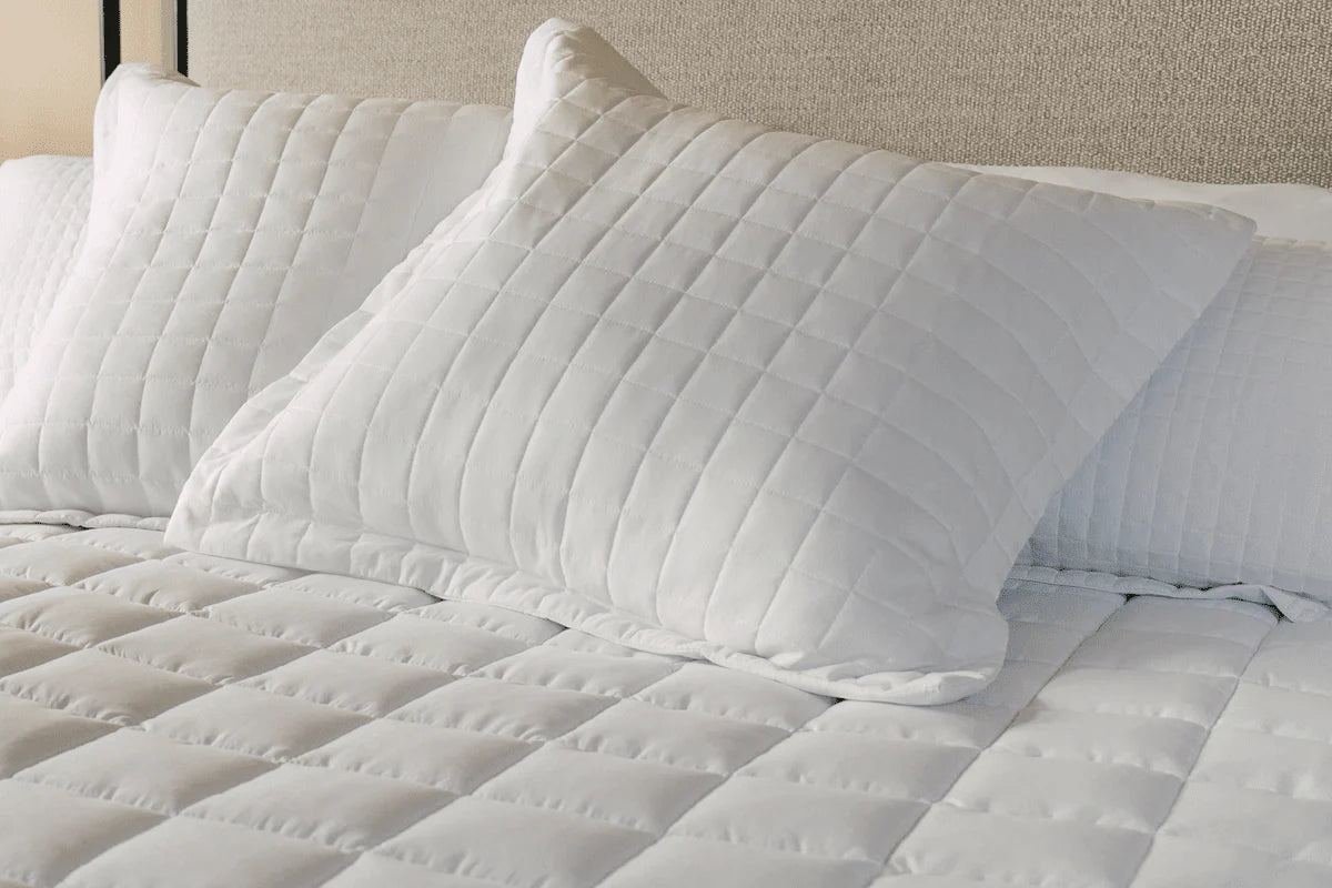 Euro Pillow Sham (set of two)